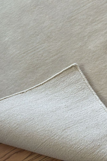 I.B.S Carpet Care