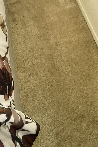 I.B.S Carpet Care contact