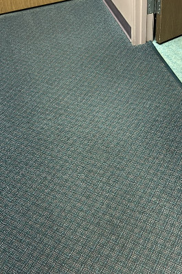 I.B.S Carpet Care Carpet Cleaning